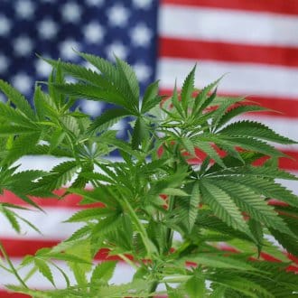 CBD and Veterans