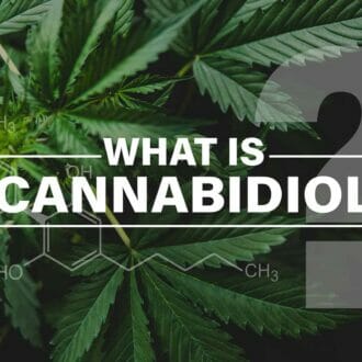 what is cbd