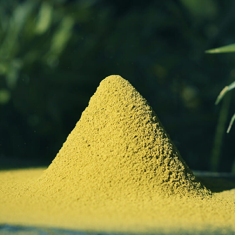 yellow kratom powder