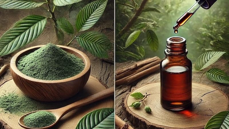 Kratom Powder And Kratom Extract Differences