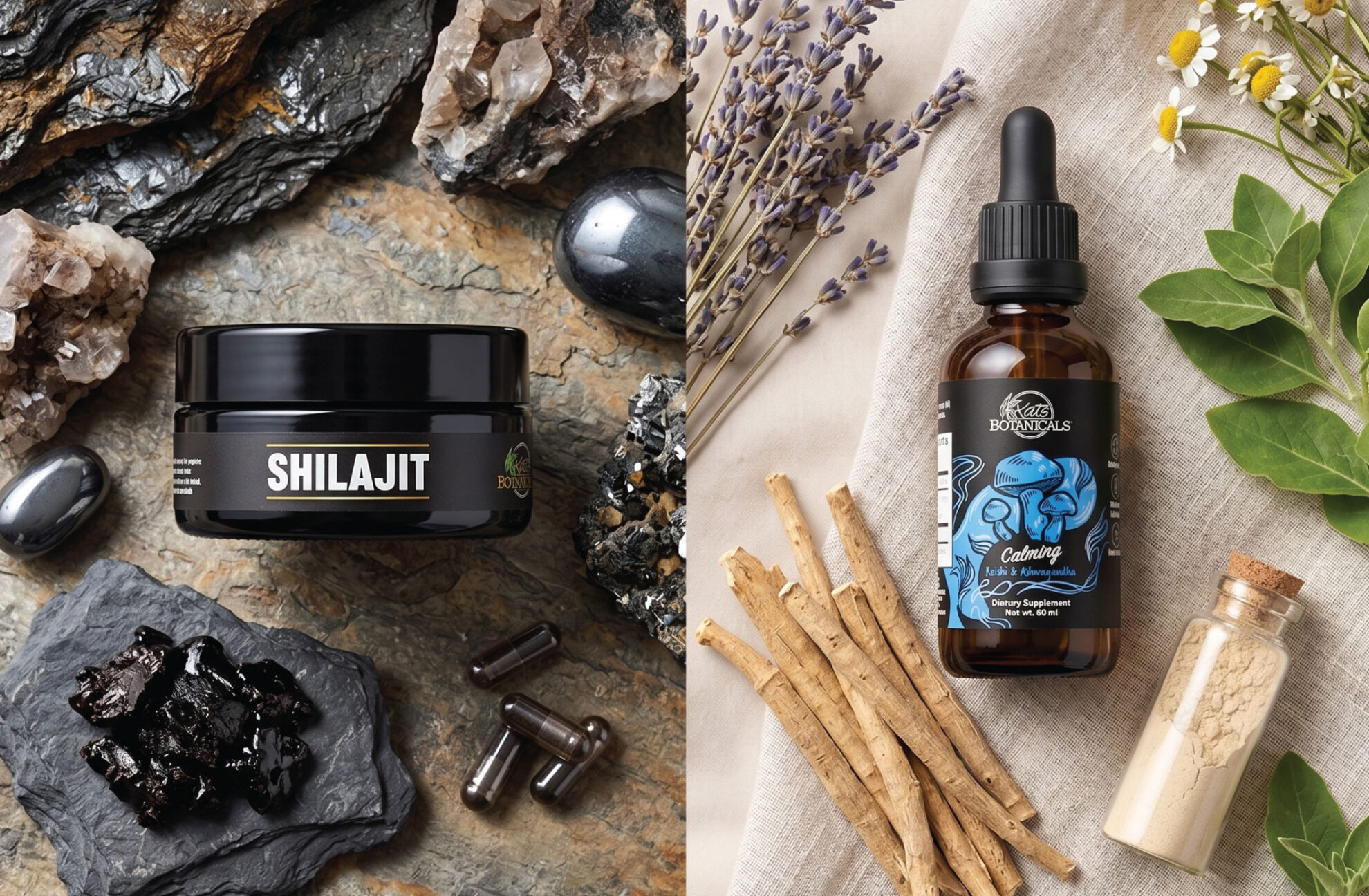  A jar labeled Shilajit with capsules and a resin, surrounded by rocks (left), and a dropper bottle, powder, herbs, dried roots, and flowers on fabric (right).