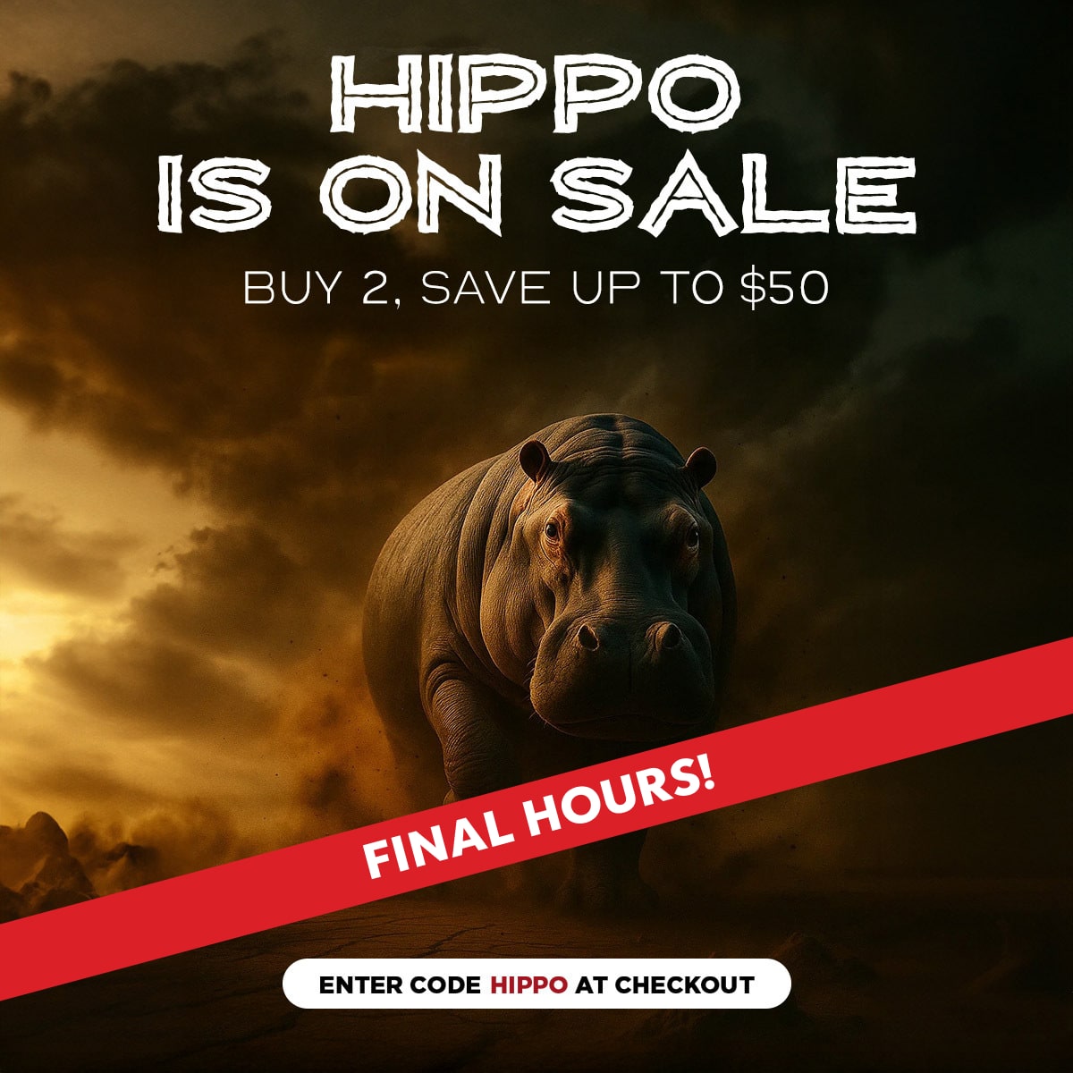Rogue Hippo on Sale