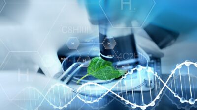 Kratom Alkaloids