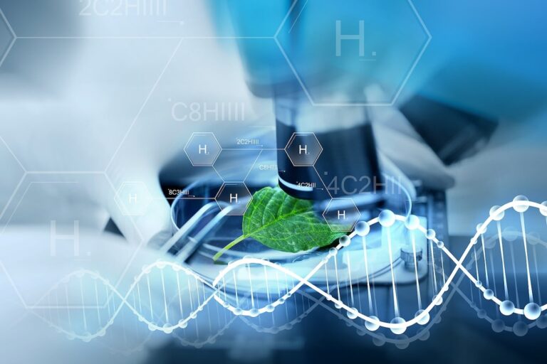 Kratom Alkaloids