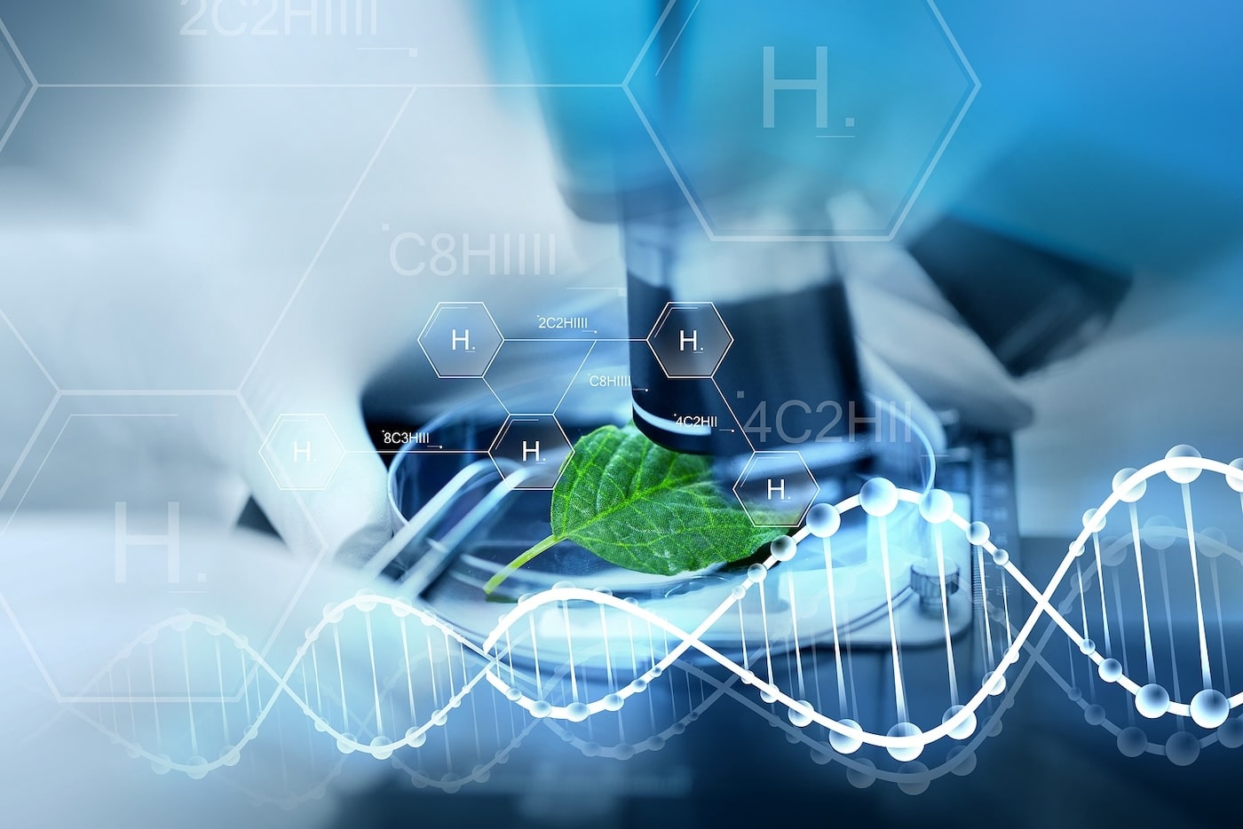 Kratom Alkaloids