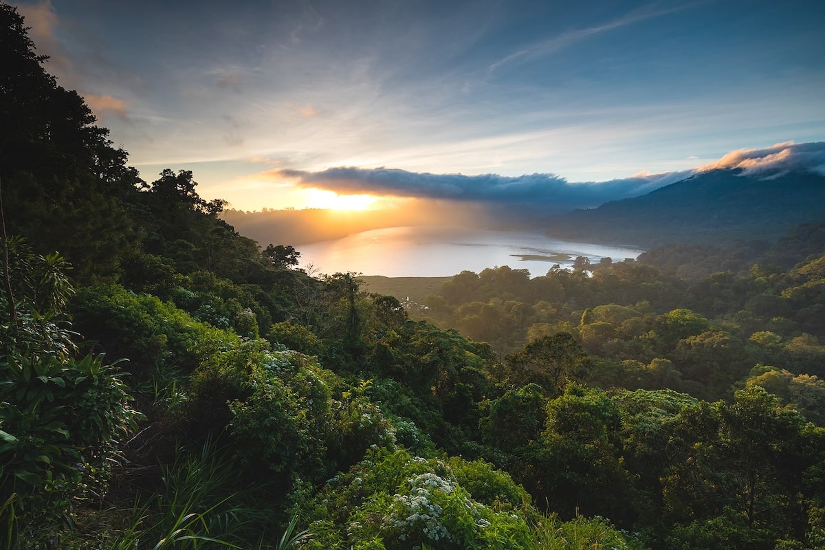 Export Legal Kratom