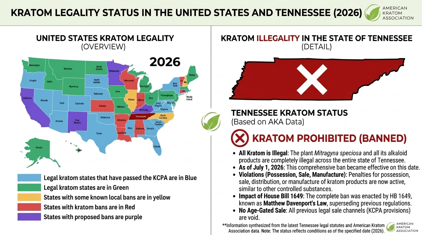 A map shows kratom legal status by U.S. state in 2026, highlighting Tennessee in red with a large X and listing reasons why kratom is banned there, including legal consequences and related law details.