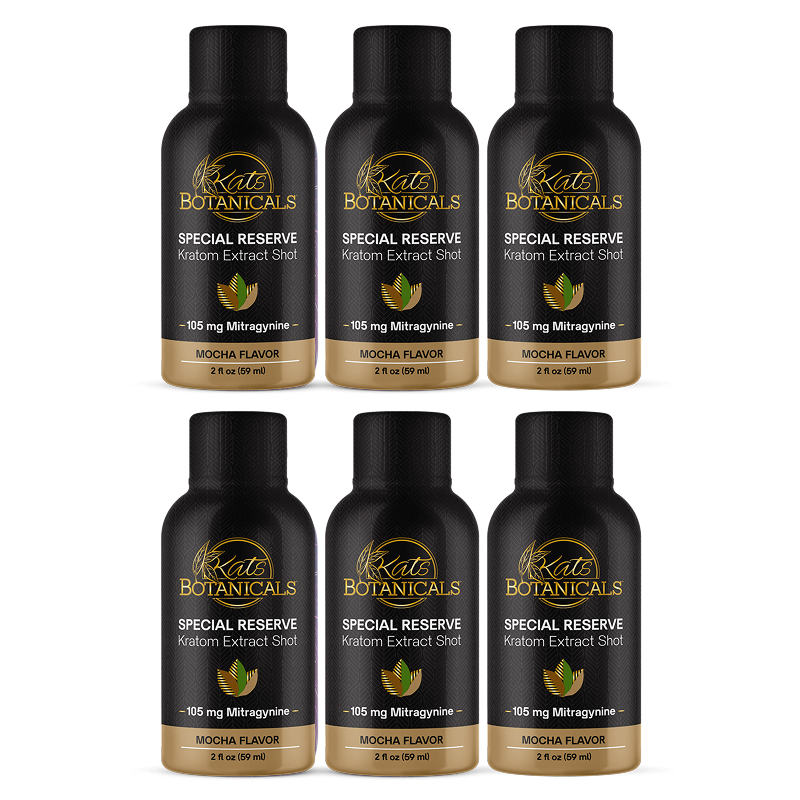 Mocha 6 Pack