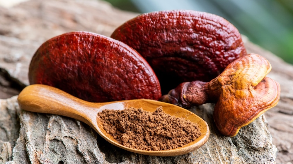 Reishi
