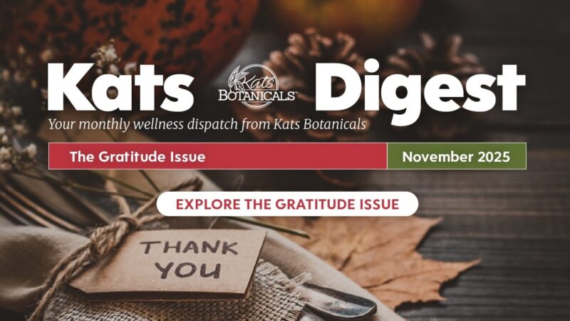 Nov Digest-01