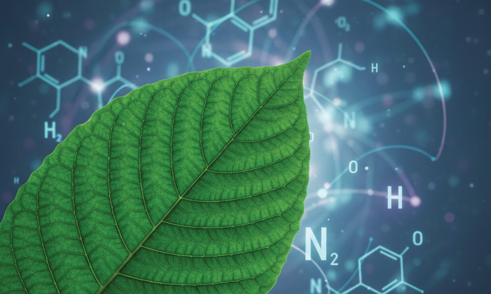 A close-up of a green leaf with visible veins, overlaid on a blurred background featuring chemical formulas and molecular structures, representing the concept of plant science and biotechnology.