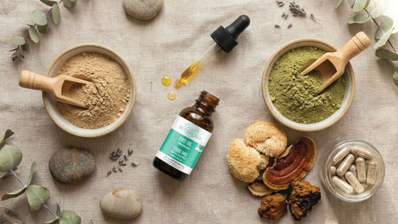 A flat lay of natural supplements: two bowls of powders with wooden scoops, a dropper bottle of CBD oil, loose mushrooms, capsules in a small jar, dried leaves, and smooth stones on a neutral fabric background.