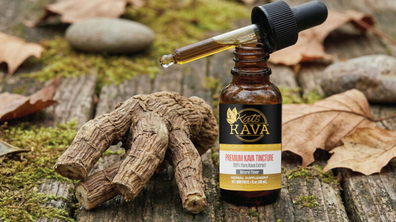 A bottle labeled Kats Kava Premium Kava Tincture stands on a wooden surface with its dropper resting on top. Next to it are kava roots, moss, fallen leaves, and smooth stones in the background.