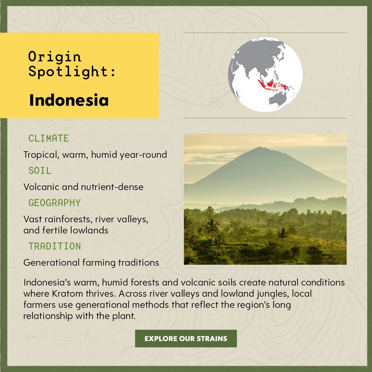 Kats Botanicals - Kratom Strains