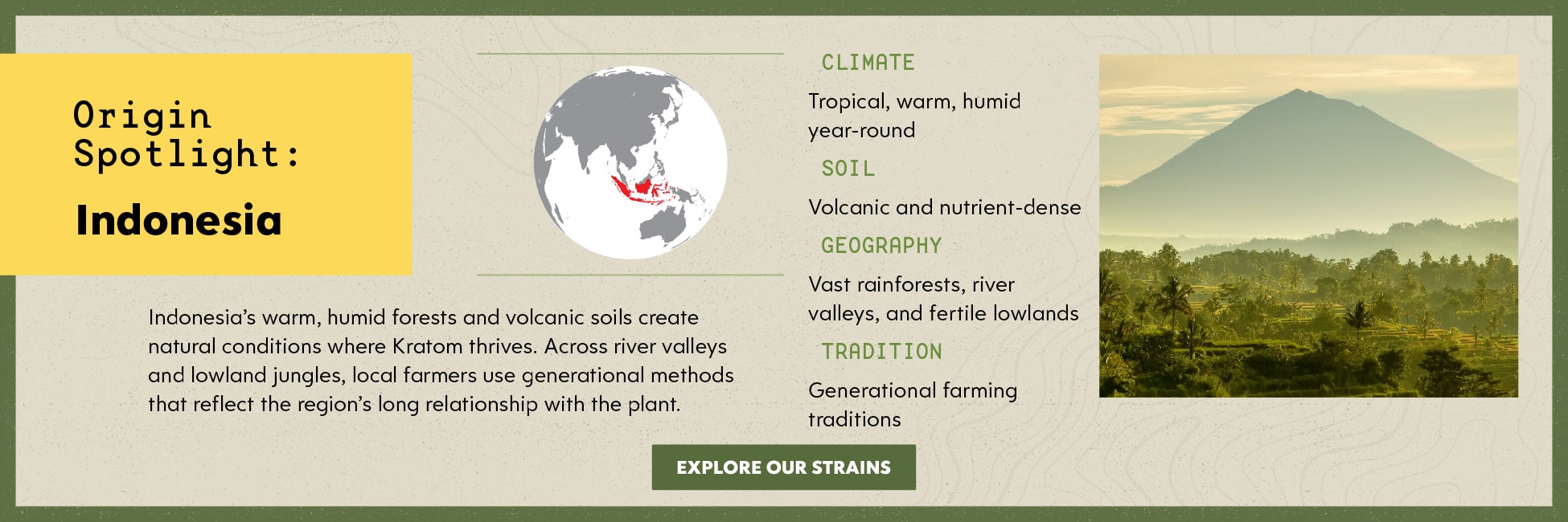 Kats Botanicals - Kratom Strains