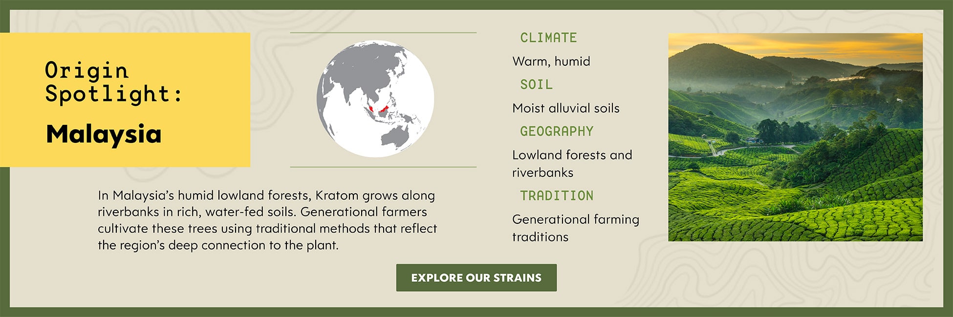 Malaysia Kratom - Kats Botanicals