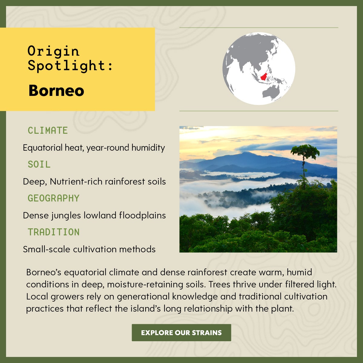 Kats Botanicals - Origin Borneo