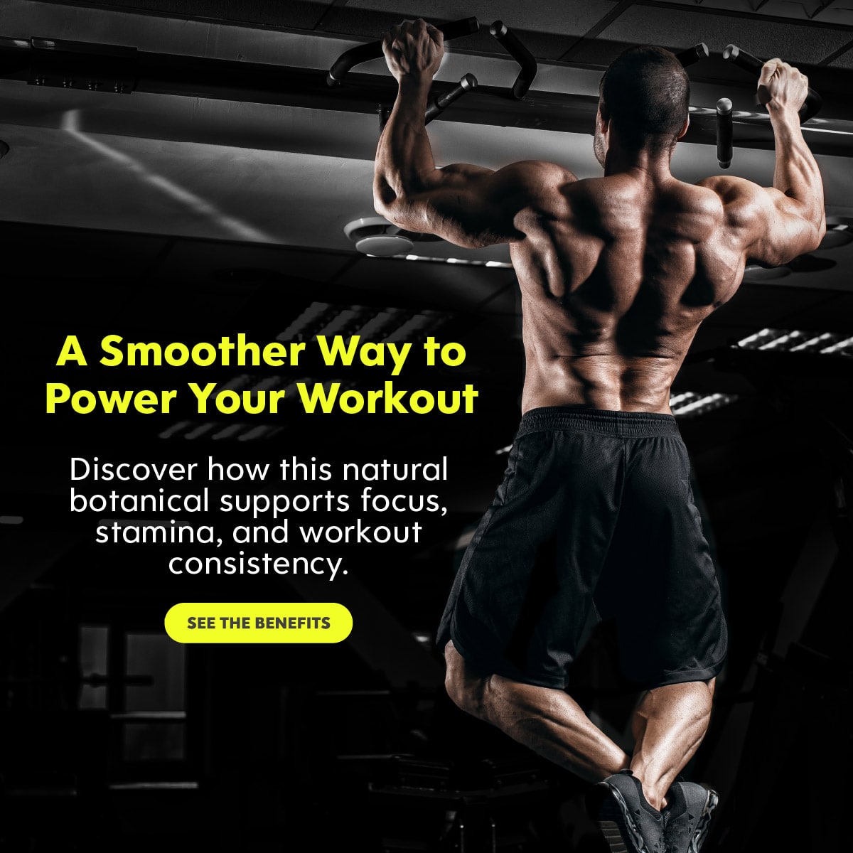 Power your workout with Kratom - Kats Botanicals