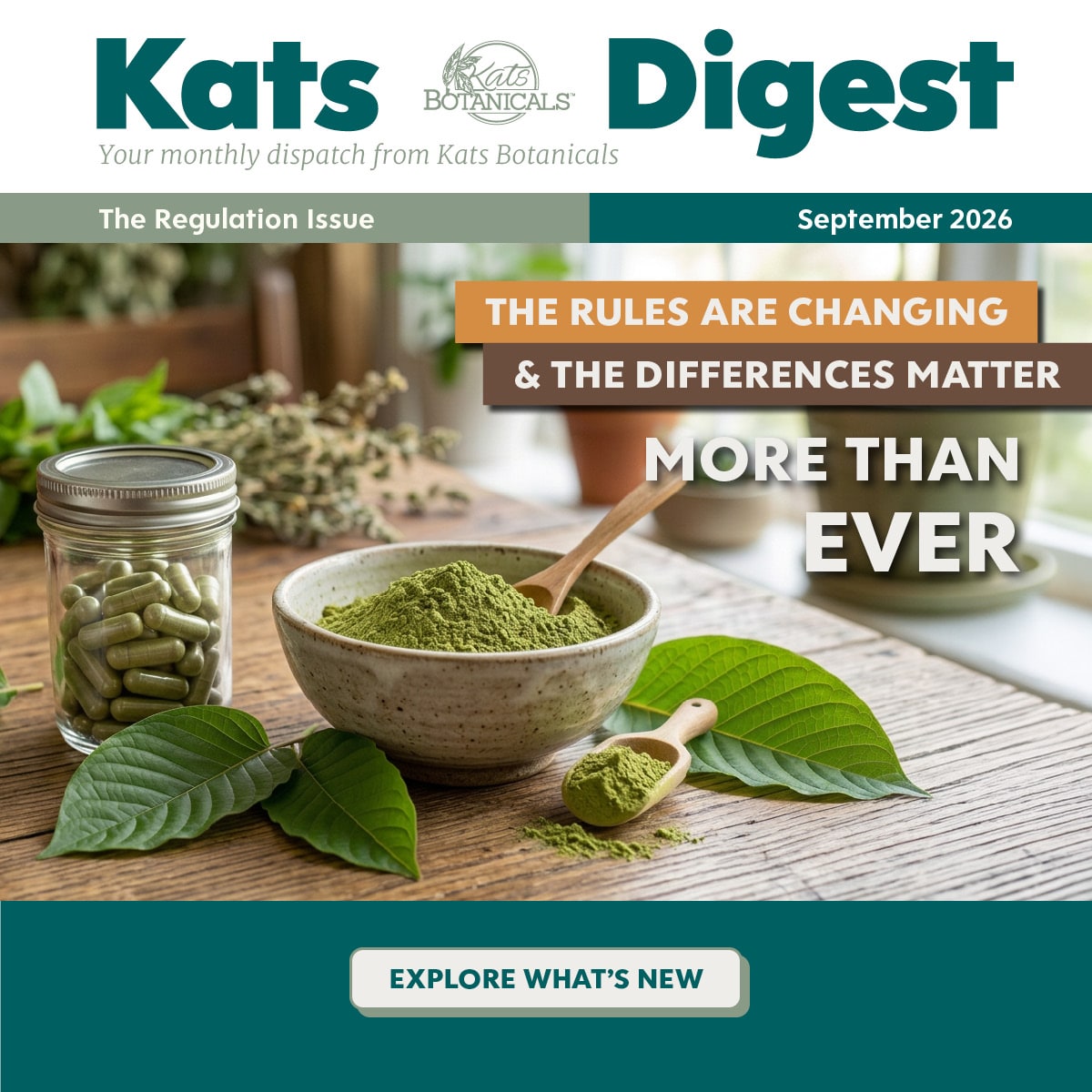 Kats Digest - The Regulation Issue