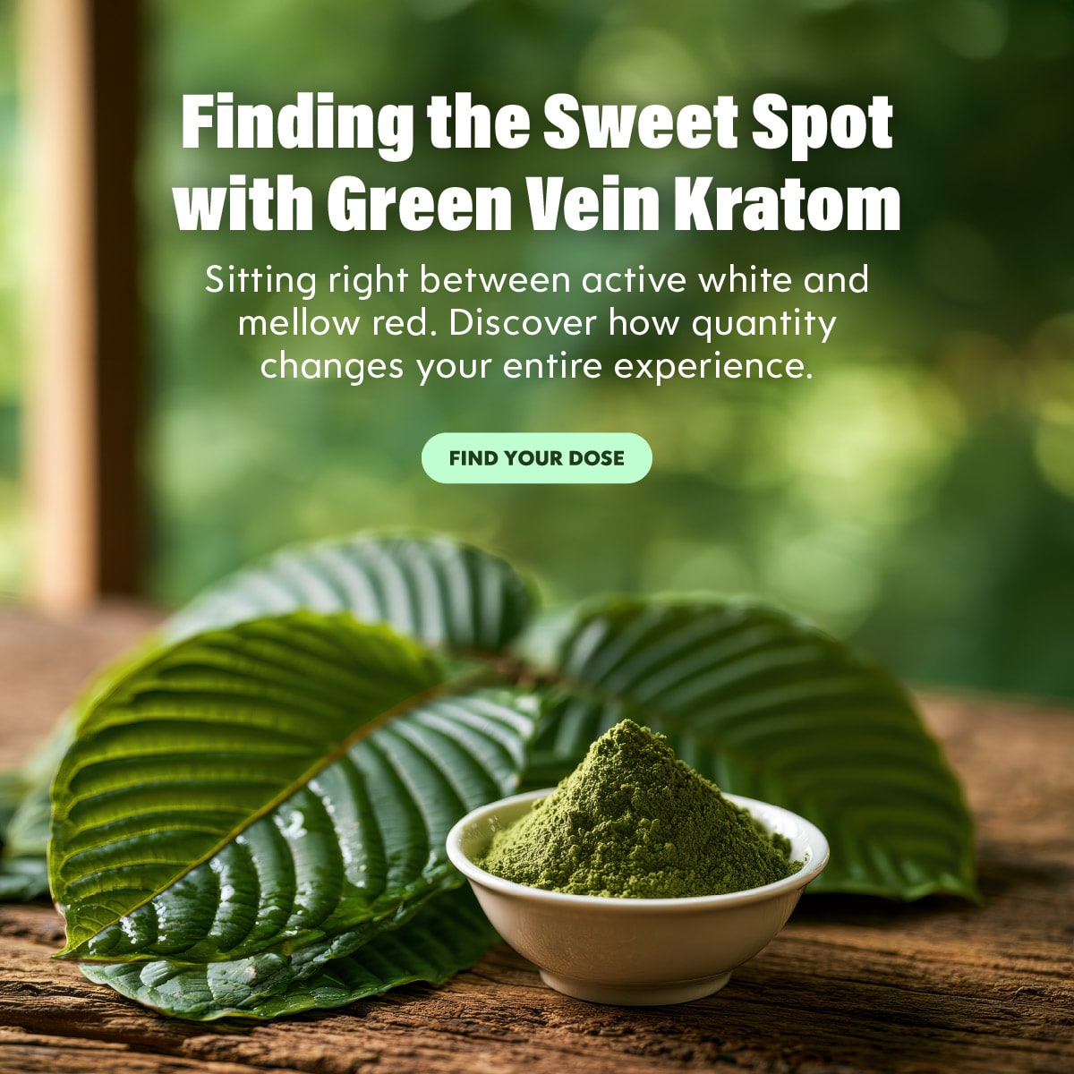 Green Vein Kratom Dosage Guide - Kats Botanicals