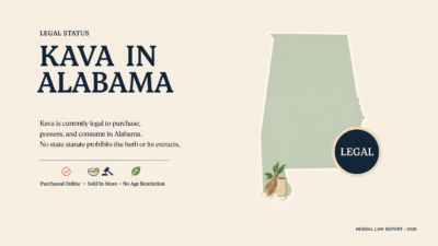 An infographic titled Kava in Alabama stating that kava is legal to purchase, possess, and consume, accompanied by a map of Alabama marked Legal and icons indicating it can be purchased online, sold in-store, and has no age restriction.