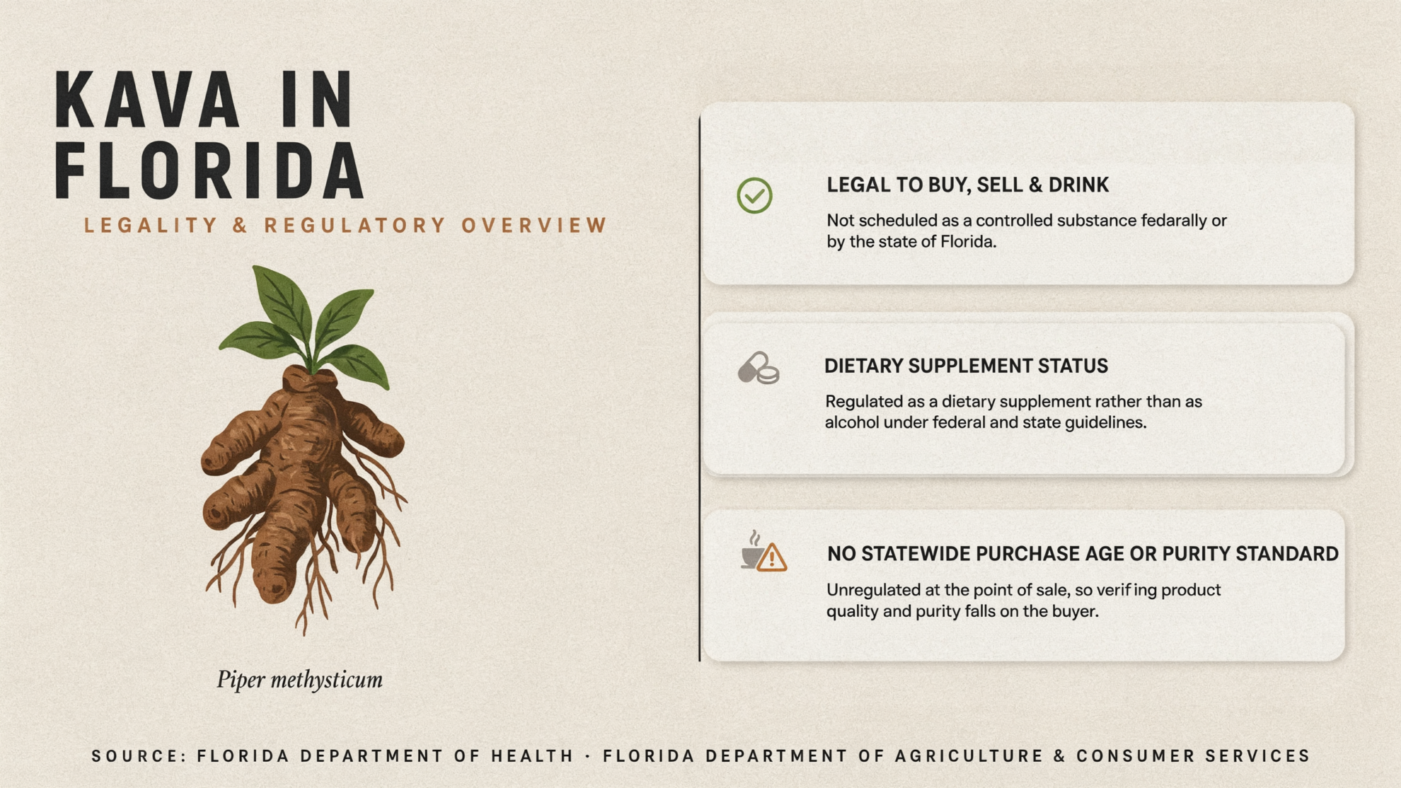 Infographic titled Kava in Florida detailing the legality, dietary supplement status, and lack of purchase age or purity standards for kava, featuring an illustration of the Piper methysticum plant. 